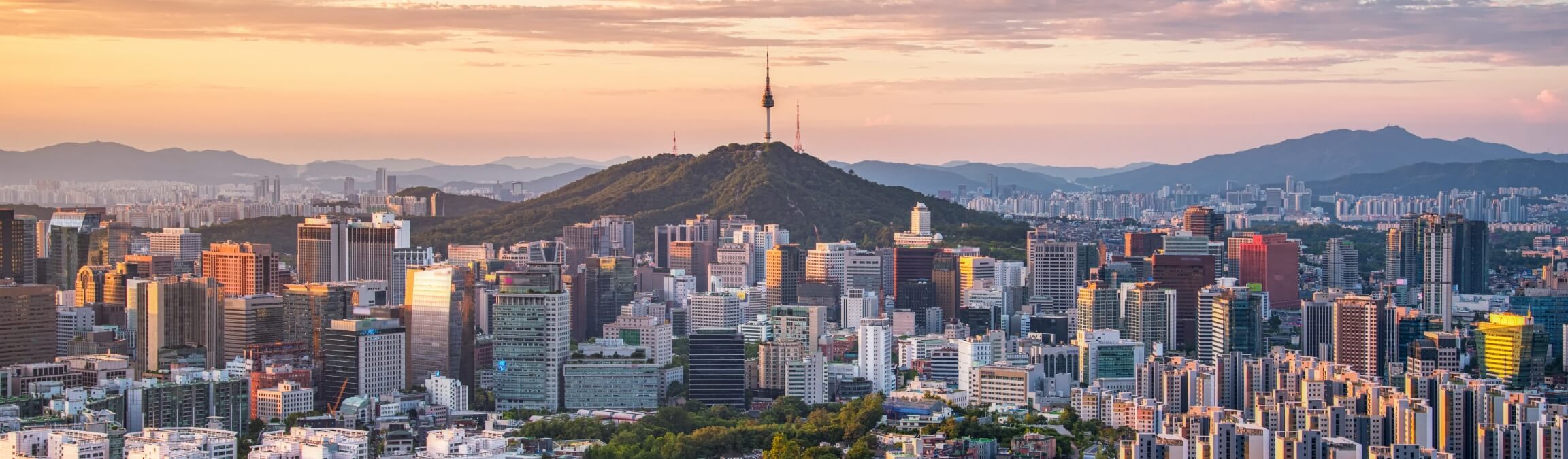 海外事業イメージ