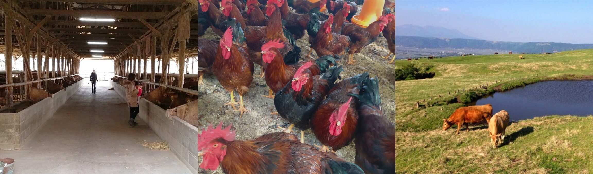 加工開発イメージ