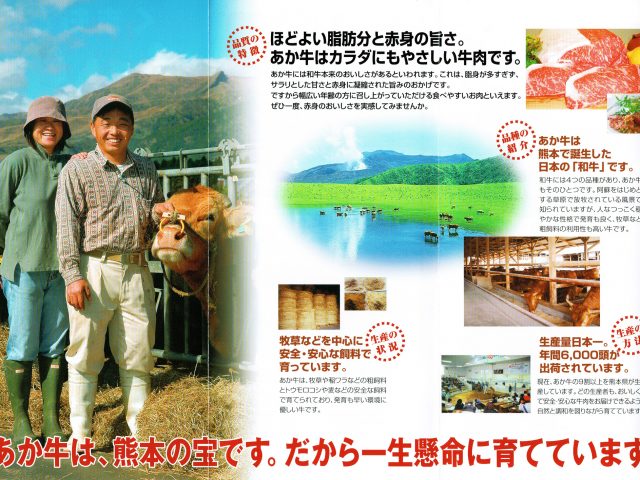 九州の赤牛